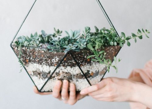 +79101421337 звонок из Vetro Fiori