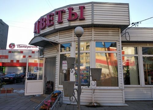 +79101834055 звонок из Цветы