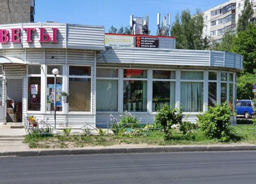 +79101834055 звонок из Цветы