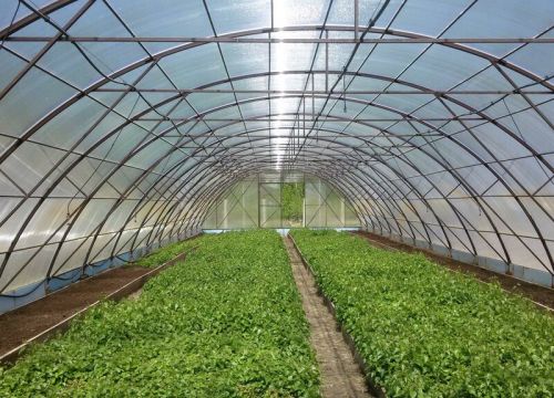 +79102626022 звонок из ГеоТех