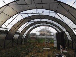 +79102626022 звонок из ГеоТех