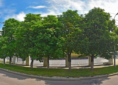 +79103080707 звонок из ДорСпецДеталь