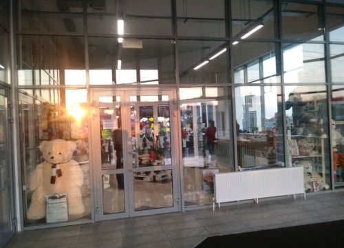 +79103100059 звонок из Флорида