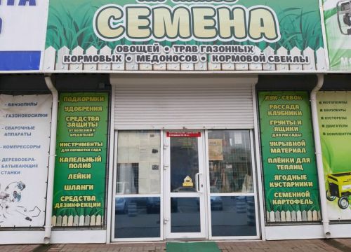 +79103100565 звонок из Семена