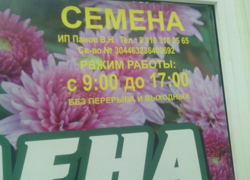 +79103100565 звонок из Семена