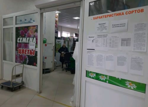 +79103100565 звонок из Семена