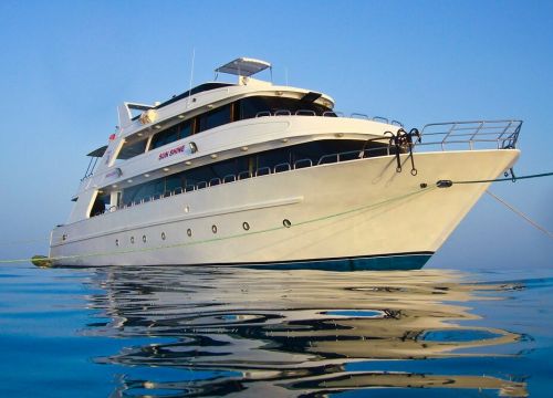 +79104030579 звонок из Садко