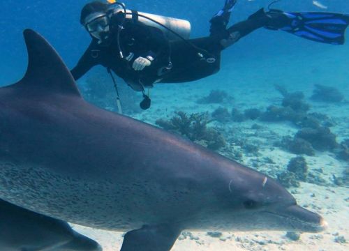 +79104030579 звонок из Садко