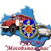 +79104220759 звонок из Отдел надзорной деятельности по Одинцовскому городскому округу