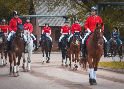 +79104350278 звонок из КСК Амадей