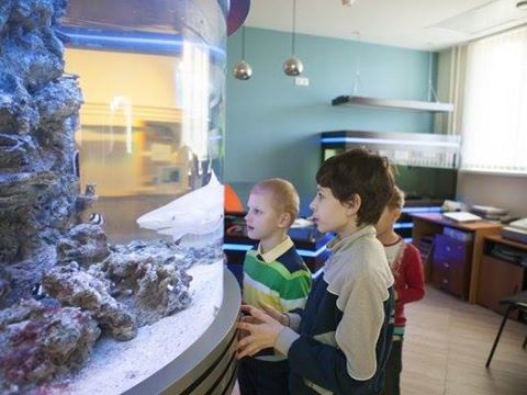 +79104560880 звонок из Артфиеста