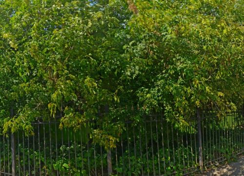 +79104563125 звонок из Бизнессервис