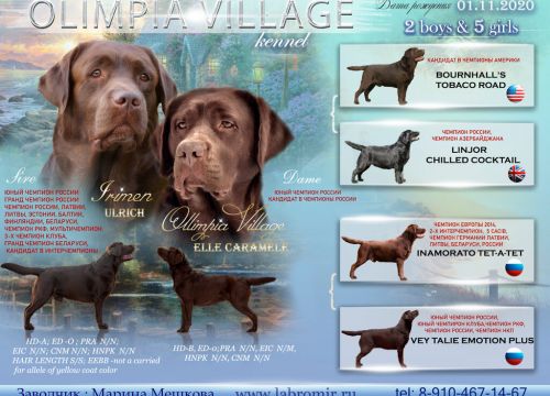 +79104671467 звонок из Olimpia Village