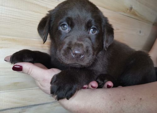 +79104671467 звонок из Olimpia Village