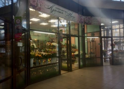 +79107001033 звонок из Азалия Flore