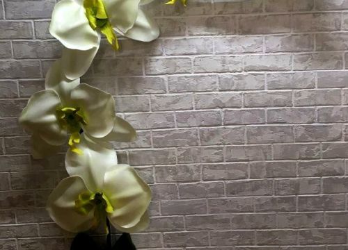 +79107151063 звонок из Фотозона 67