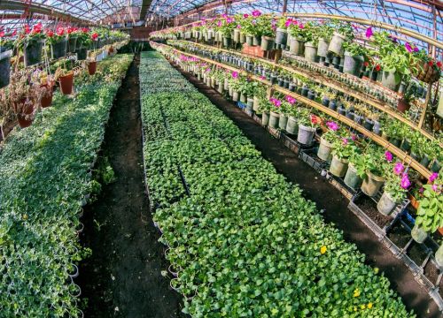 +79107262508 звонок из Оранжерея