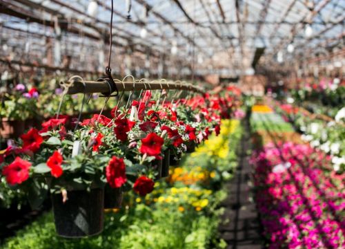 +79107262508 звонок из Оранжерея