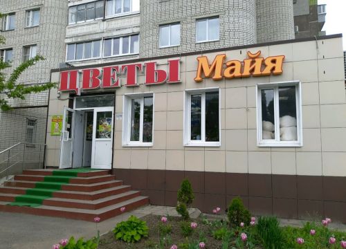 +79107300599 звонок из Цветы Майя