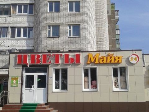 +79107300599 звонок из Цветы Майя