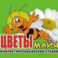 +79107300599 звонок из Цветы Майя