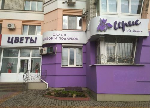 +79107343400 звонок из Ирис Blumen