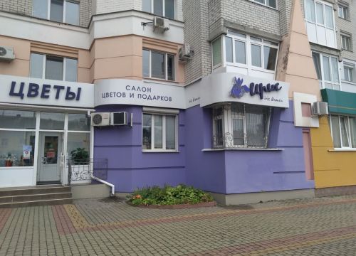 +79107343400 звонок из Ирис Blumen