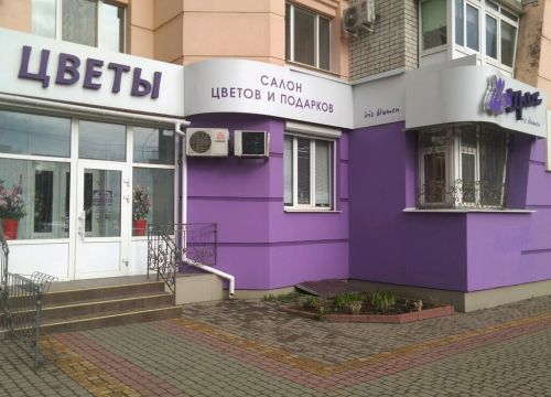 +79107343400 звонок из Ирис Blumen