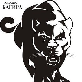 +79107360240 звонок из АНО ДПО Багира