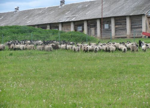 +79108280225 звонок из Юрьевское, фермерское хозяйство