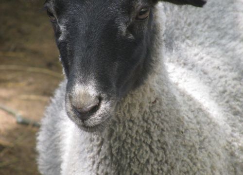 +79108280225 звонок из Юрьевское, фермерское хозяйство