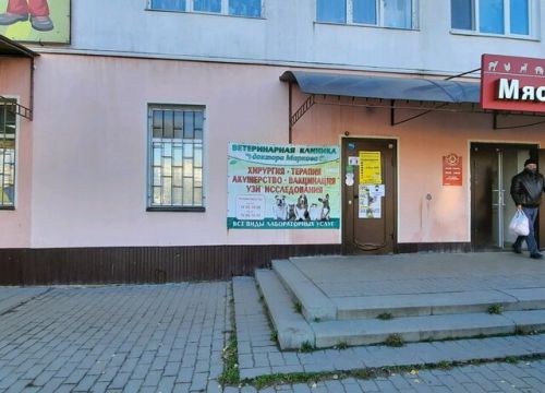 +79108282139 звонок из Доктор Марков и Ко