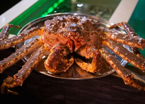 +79108650101 звонок из Точка