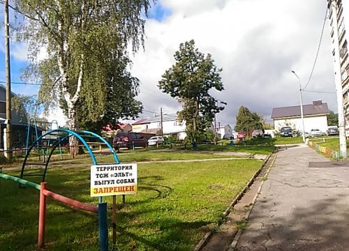 +79108720943 звонок из Эльт