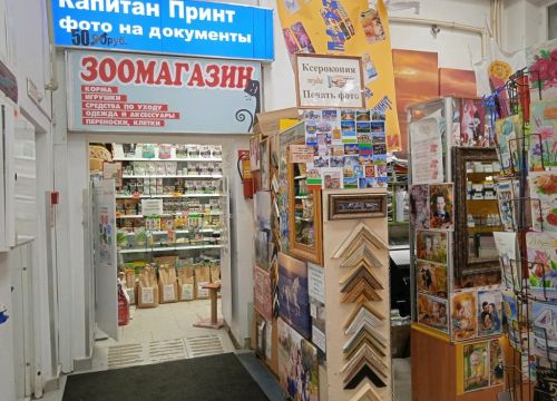 +79108852005 звонок из Капитан Принт