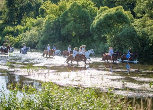 +79109130484 звонок из Конно-спортивный комплекс Вертикаль