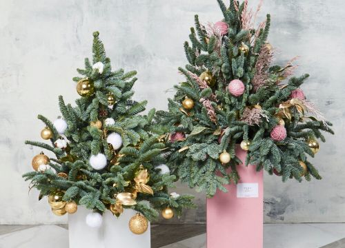 +79110190227 звонок из Елка Дома