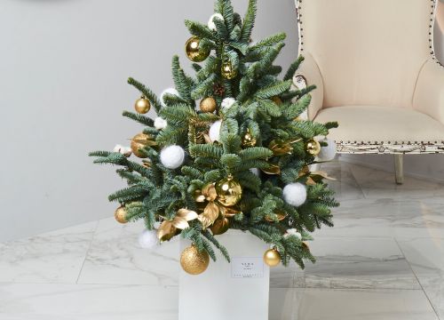 +79110190227 звонок из Елка Дома