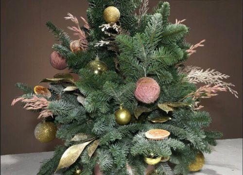 +79110190227 звонок из Елка Дома