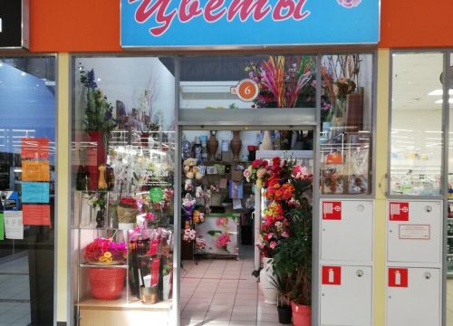 +79113590046 звонок из Цветы