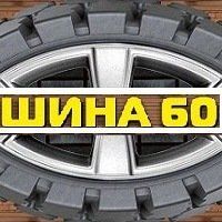 +79113622124 звонок из Шина 60