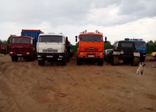 +79115685553 звонок из Свои Люди