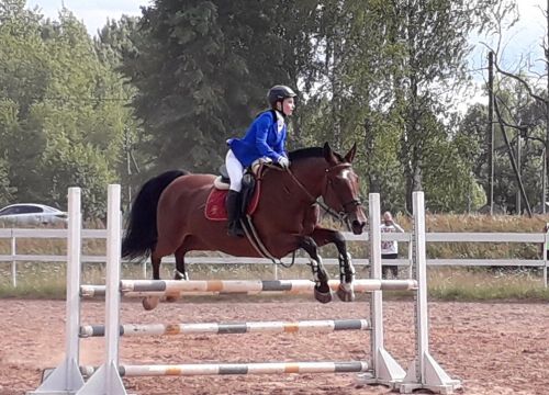 +79116022222 звонок из Гардарика