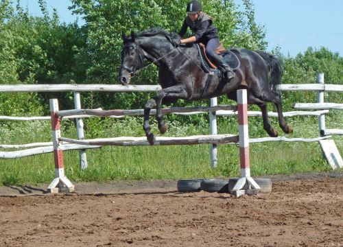 +79116022222 звонок из Гардарика