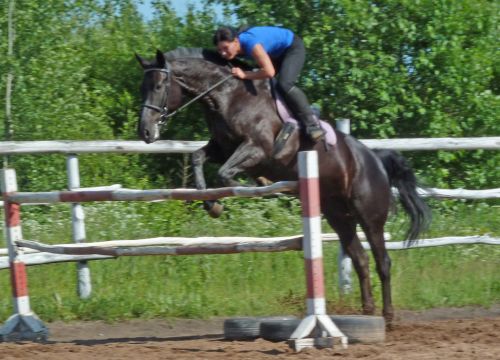 +79116022222 звонок из Гардарика