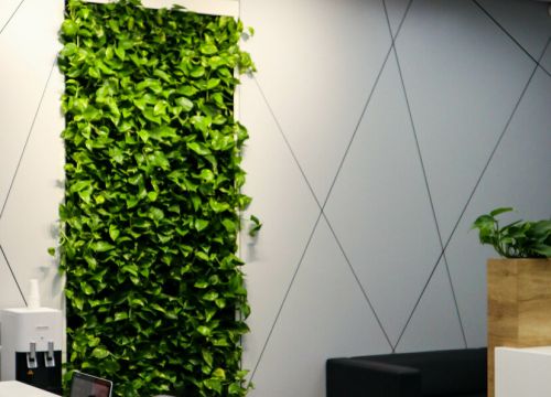 +79117600182 звонок из Фитостена - вертикальное озеленение