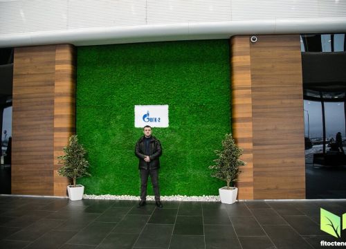 +79117600182 звонок из Фитостена - вертикальное озеленение