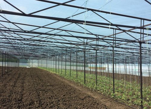 +79118370511 звонок из Теплицы Краснодарского края