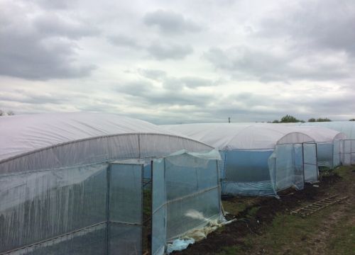 +79118370511 звонок из Теплицы Краснодарского края