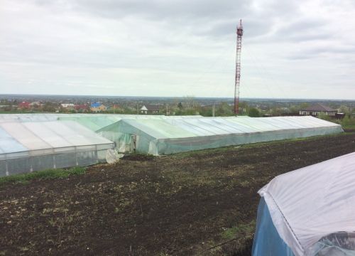 +79118370511 звонок из Теплицы Краснодарского края